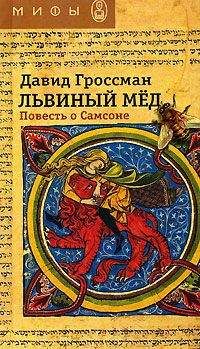 Читайте книги онлайн на Bookidrom.ru! Бесплатные книги в одном клике Давид Гроссман - Львиный мед. Повесть о Самсоне