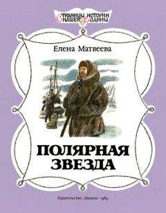 Читайте книги онлайн на Bookidrom.ru! Бесплатные книги в одном клике Елена Матвеева - Полярная звезда