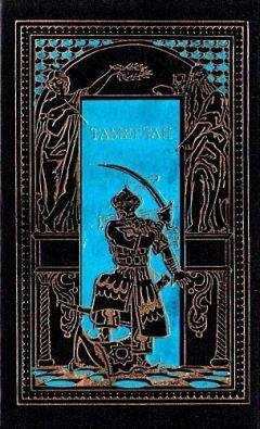 Читайте книги онлайн на Bookidrom.ru! Бесплатные книги в одном клике Сергей Бородин - Тамерлан