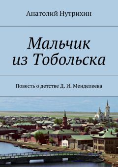 Читайте книги онлайн на Bookidrom.ru! Бесплатные книги в одном клике Анатолий Нутрихин - Мальчик из Тобольска. Повесть о детстве Д. И. Менделеева