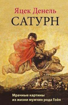 Читайте книги онлайн на Bookidrom.ru! Бесплатные книги в одном клике Яцек Денель - Сатурн. Мрачные картины из жизни мужчин рода Гойя