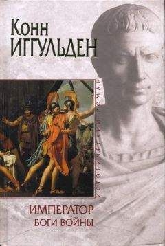 Читайте книги онлайн на Bookidrom.ru! Бесплатные книги в одном клике Конн Иггульден - Боги войны