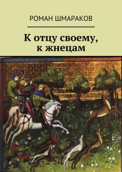 Читайте книги онлайн на Bookidrom.ru! Бесплатные книги в одном клике Роман Шмараков - К отцу своему, к жнецам