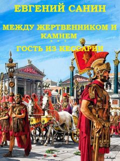 Читайте книги онлайн на Bookidrom.ru! Бесплатные книги в одном клике Евгений Санин - Между жертвенником и камнем. Гость из Кессарии
