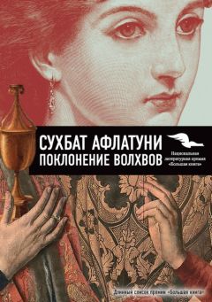 Читайте книги онлайн на Bookidrom.ru! Бесплатные книги в одном клике Сухбат Афлатуни - Поклонение волхвов. Книга 2