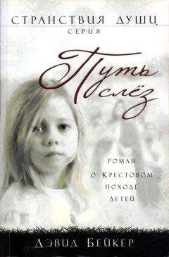Читайте книги онлайн на Bookidrom.ru! Бесплатные книги в одном клике Дэвид Бейкер - Путь слез