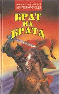 Читайте книги онлайн на Bookidrom.ru! Бесплатные книги в одном клике Николай Алексеев-Кунгурцев - Брат на брата