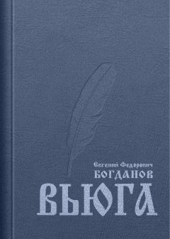 Читайте книги онлайн на Bookidrom.ru! Бесплатные книги в одном клике Евгений Богданов - Вьюга