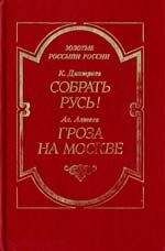 Читайте книги онлайн на Bookidrom.ru! Бесплатные книги в одном клике Ал. Алтаев (М. В. Ямщикова) - Гроза на Москве