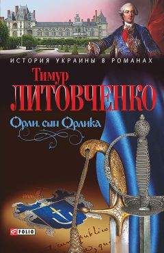 Читайте книги онлайн на Bookidrom.ru! Бесплатные книги в одном клике Тимур Литовченко - Орли, сын Орлика