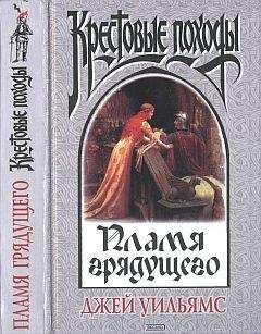 Читайте книги онлайн на Bookidrom.ru! Бесплатные книги в одном клике Джей Уильямс - Пламя грядущего