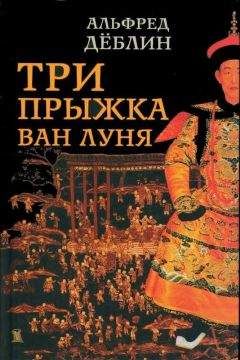 Читайте книги онлайн на Bookidrom.ru! Бесплатные книги в одном клике Альфред Дёблин - Три прыжка Ван Луня. Китайский роман