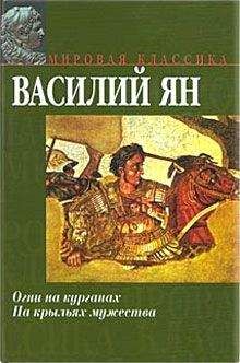 Читайте книги онлайн на Bookidrom.ru! Бесплатные книги в одном клике Василий Ян - В орлином гнезде «Старца горы»