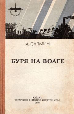 Читайте книги онлайн на Bookidrom.ru! Бесплатные книги в одном клике Алексей Салмин - Буря на Волге