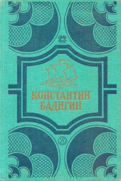 Читайте книги онлайн на Bookidrom.ru! Бесплатные книги в одном клике Константин Бадигин - Кораблекрушение у острова Надежды