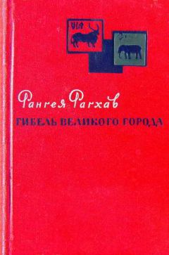 Читайте книги онлайн на Bookidrom.ru! Бесплатные книги в одном клике Рангея Рагхав - Гибель великого города