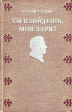 Читайте книги онлайн на Bookidrom.ru! Бесплатные книги в одном клике Алексей Новиков - Ты взойдешь, моя заря!