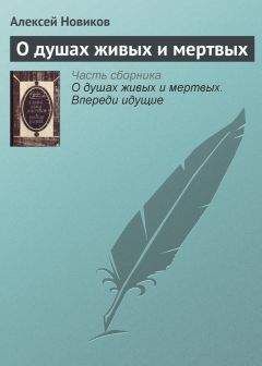 Читайте книги онлайн на Bookidrom.ru! Бесплатные книги в одном клике Алексей Новиков - О душах живых и мертвых