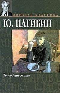 Юрий Нагибин - Страдания ценсора Красовского