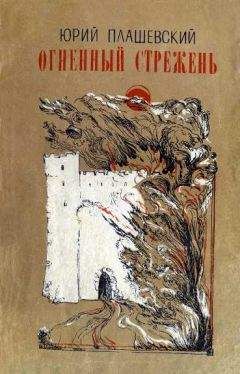 Читайте книги онлайн на Bookidrom.ru! Бесплатные книги в одном клике Юрий Плашевский - Огненный стрежень
