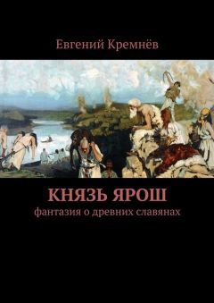 Читайте книги онлайн на Bookidrom.ru! Бесплатные книги в одном клике Евгений Кремнёв - Князь Ярош