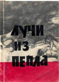 Читайте книги онлайн на Bookidrom.ru! Бесплатные книги в одном клике Роберт Юнг - Лучи из пепла.