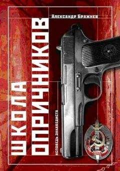 Читайте книги онлайн на Bookidrom.ru! Бесплатные книги в одном клике Александр Бражнев - Школа опричников