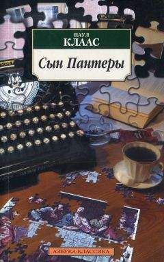 Читайте книги онлайн на Bookidrom.ru! Бесплатные книги в одном клике Паул Клаас - Сын Пантеры