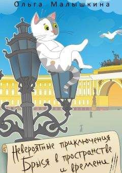 Читайте книги онлайн на Bookidrom.ru! Бесплатные книги в одном клике Ольга Малышкина - Невероятные приключения Брыся в пространстве и времени. Историко-фантастический роман для любознательных детей и взрослых
