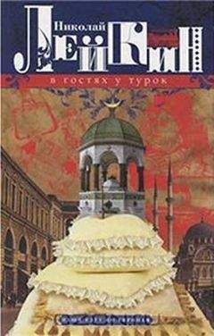 Читайте книги онлайн на Bookidrom.ru! Бесплатные книги в одном клике Николай Лейкин - В гостях у турок