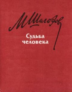 Читайте книги онлайн на Bookidrom.ru! Бесплатные книги в одном клике Михаил Шолохов - Судьба человека