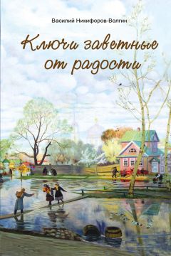 Читайте книги онлайн на Bookidrom.ru! Бесплатные книги в одном клике Василий Никифоров-Волгин - Ключи заветные от радости