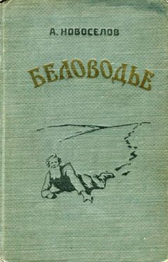 Читайте книги онлайн на Bookidrom.ru! Бесплатные книги в одном клике Александр Новосёлов - Беловодье