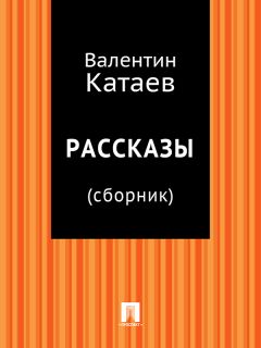 Читайте книги онлайн на Bookidrom.ru! Бесплатные книги в одном клике Валентин Катаев - Рассказы (сборник)