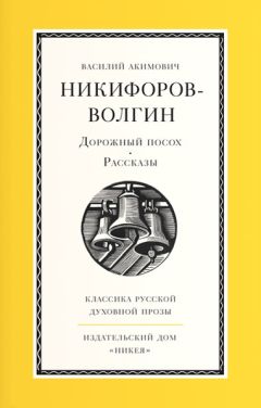 Читайте книги онлайн на Bookidrom.ru! Бесплатные книги в одном клике Василий Никифоров-Волгин - Дорожный посох