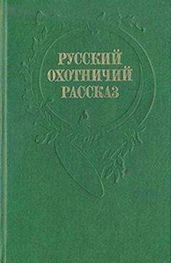 Читайте книги онлайн на Bookidrom.ru! Бесплатные книги в одном клике Илья Салов - Рассказы охотника