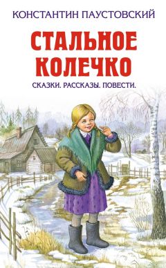 Читайте книги онлайн на Bookidrom.ru! Бесплатные книги в одном клике Константин Паустовский - Стальное колечко (сборник)