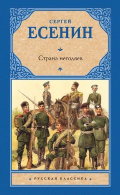 Читайте книги онлайн на Bookidrom.ru! Бесплатные книги в одном клике Сергей Есенин - Страна негодяев (сборник)