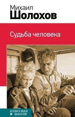 Читайте книги онлайн на Bookidrom.ru! Бесплатные книги в одном клике Михаил Шолохов - Судьба человека (сборник)
