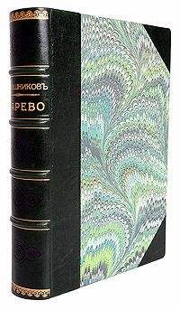 Читайте книги онлайн на Bookidrom.ru! Бесплатные книги в одном клике Виктор Клюшников - Марево