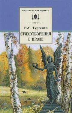 Читайте книги онлайн на Bookidrom.ru! Бесплатные книги в одном клике Иван Тургенев - Стихотворения в прозе