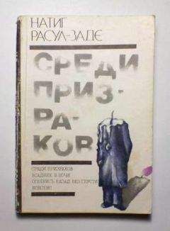 Читайте книги онлайн на Bookidrom.ru! Бесплатные книги в одном клике Натиг Расул-заде - Среди призраков