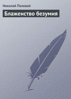 Читайте книги онлайн на Bookidrom.ru! Бесплатные книги в одном клике Николай Полевой - Блаженство безумия