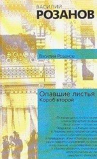 Читайте книги онлайн на Bookidrom.ru! Бесплатные книги в одном клике Василий Розанов - Опавшие листья (Короб второй и последний)