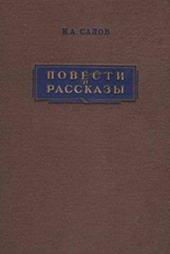 Читайте книги онлайн на Bookidrom.ru! Бесплатные книги в одном клике Илья Салов - Мельница купца Чесалкина