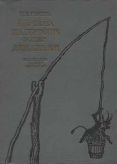 Читайте книги онлайн на Bookidrom.ru! Бесплатные книги в одном клике Николай Гоголь - Вечера на хуторе близ Диканьки