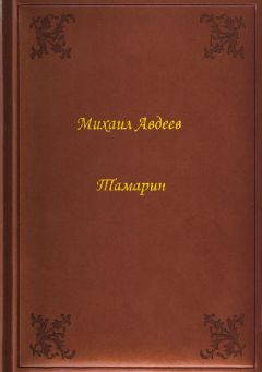 Читайте книги онлайн на Bookidrom.ru! Бесплатные книги в одном клике Михаил Авдеев - Тамарин