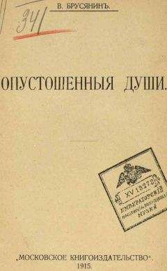 Читайте книги онлайн на Bookidrom.ru! Бесплатные книги в одном клике Василий Брусянин - Рыжаковский пустырь