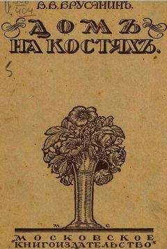 Читайте книги онлайн на Bookidrom.ru! Бесплатные книги в одном клике Василий Брусянин - Уличный папа