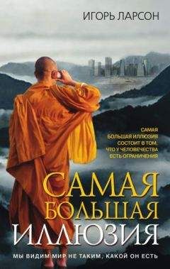 Читайте книги онлайн на Bookidrom.ru! Бесплатные книги в одном клике Игорь Ларсон - Самая большая иллюзия